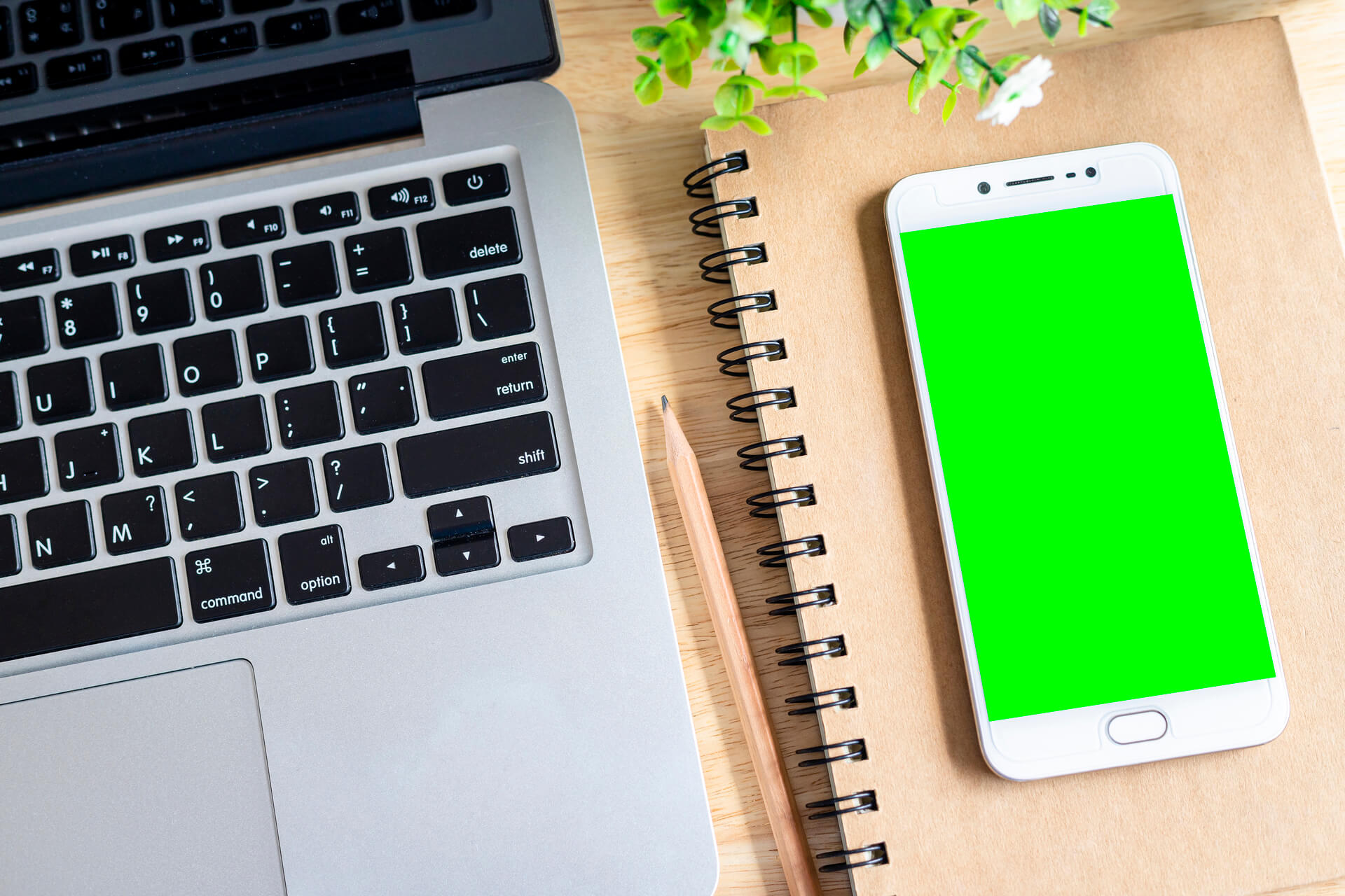 Can Being Too Honest on Your Insurance App Hurt You? A Risk/Reward Breakdown