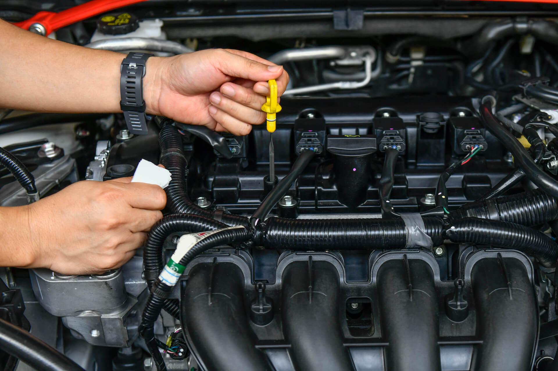 What Your Car’s Fluids Say About Its Health — A Beginner’s Guide